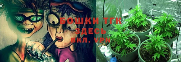 прущий лед Аркадак